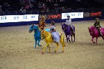 Quadrille - 00505